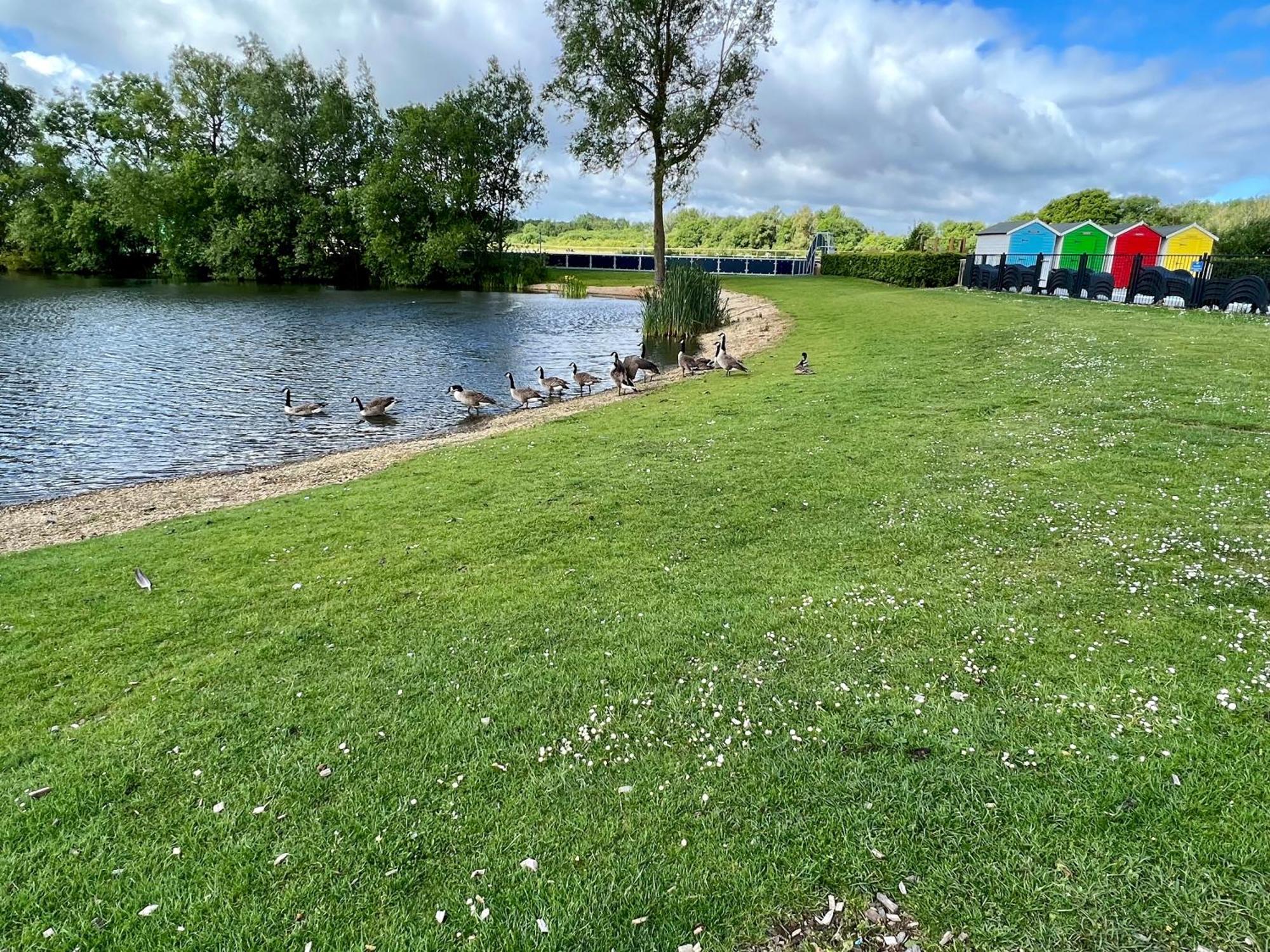Puddleducks, Dog Friendly Hot Tub Lodge South Cerney Exterior foto